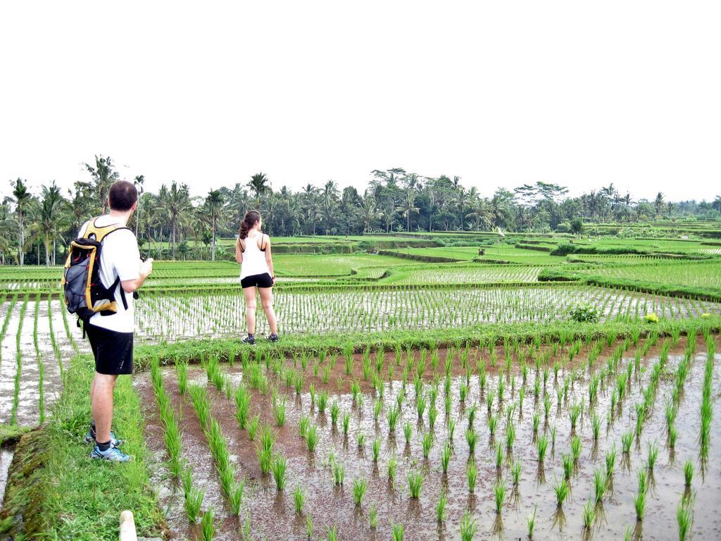 Uma Caming Villas & Gym Tegallalang  Exterior photo