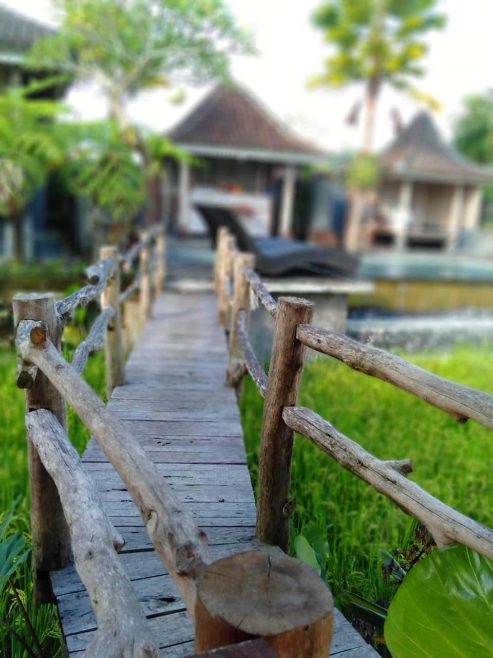 Uma Caming Villas & Gym Tegallalang  Exterior photo